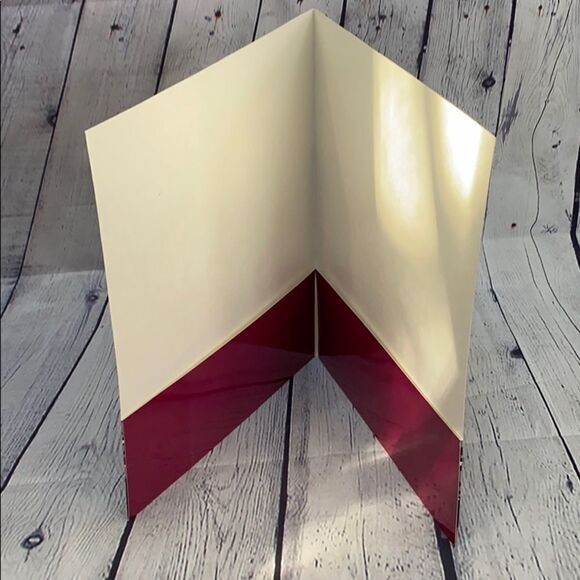 NEW 2008 Disney Camp Rock Joe Jonas Folder | Rare Collectible School Supply - Picture 3 of 6